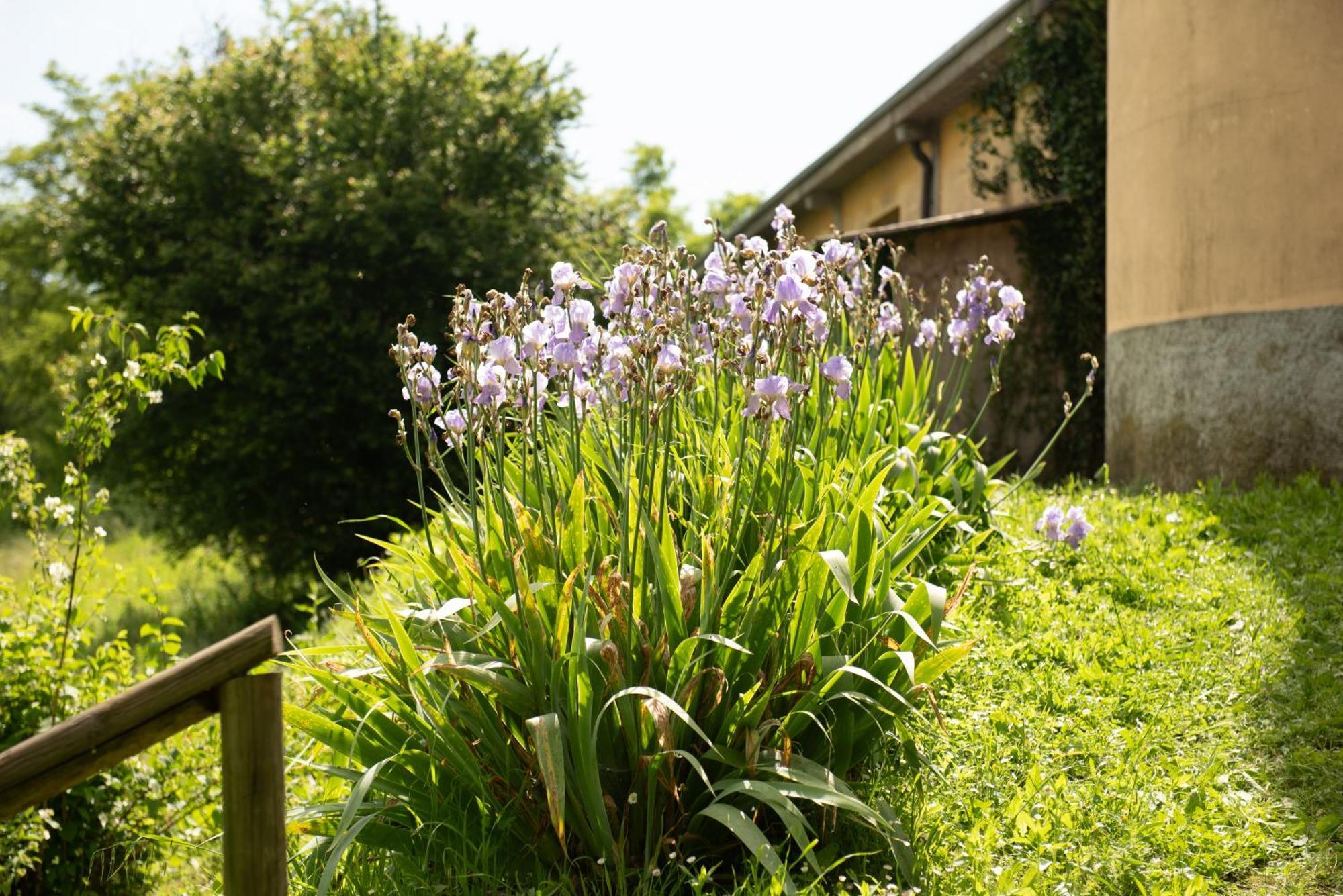 Country House Cascina Orto Pasturana Exterior photo